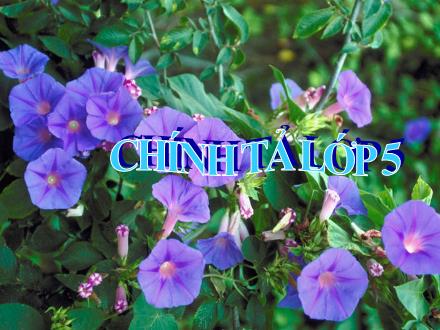 Bài giảng Chính tả Lớp 5 - Sang năm con lên bảy - Trường Tiểu học Phan Đình Giót