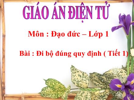 Bài giảng Đao đức Lớp 1 - Đi bộ đúng quy định (Tiết 1) - Trường Tiểu học Thanh Xuân Nam