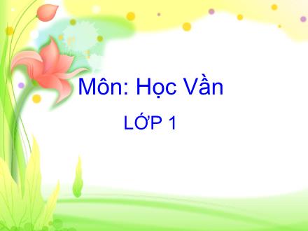 Bài giảng Học vần Lớp 1 - Bài 6: iêm, yêm - Trường Tiểu học Nguyễn Trãi