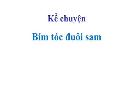 Bài giảng Kể chuyện Lớp 2 - Bím tóc đuôi sam - Trường Tiểu học Đặng Trần Côn B