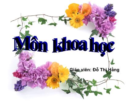 Bài giảng Khoa học Lớp 4 - Ba thể của nước - Đỗ Thị Hằng