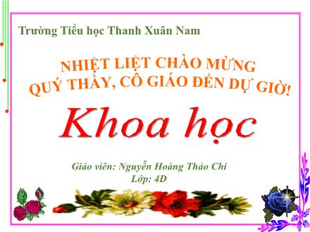 Bài giảng Khoa học Lớp 4 - Ba thể của nước - Nguyễn Hoàng Thảo Chi