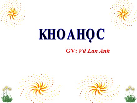 Bài giảng Khoa học Lớp 4 - Bài 49: Ánh sáng và việc bảo vệ đôi mắt - Vũ Lan Anh