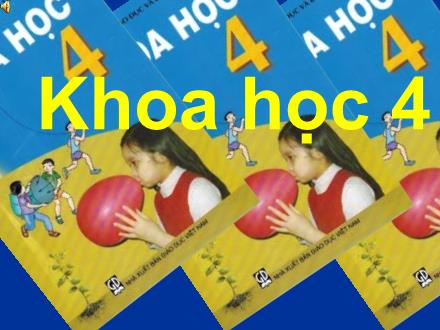 Bài giảng Khoa học Lớp 4 - Các chất dinh dưỡng có trong thức ăn. Vai trò của chất bột đường - Trường Tiểu học Đặng Trần Côn B