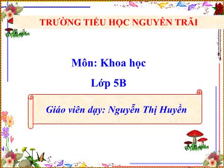 Bài giảng Khoa học Lớp 5 - Bài 12: Phòng bệnh sốt rét - Nguyễn Thị Huyền