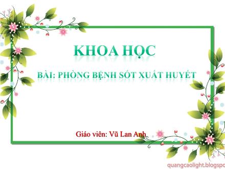 Bài giảng Khoa học Lớp 5 - Bài 13: Phòng bệnh sốt xuất huyết - Vũ Lan Anh