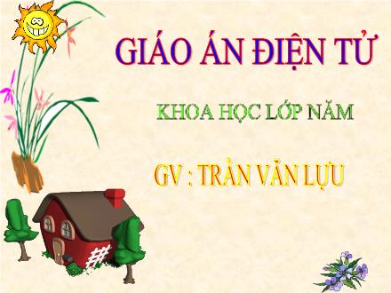 Bài giảng Khoa học Lớp 5 - Gốm xây dựng, gạch, ngói - Trần Văn Lựu