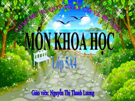 Bài giảng Khoa học Lớp 5 - Sự biến đổi hóa học - Nguyễn Thị Thanh