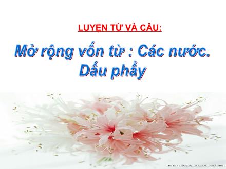 Bài giảng Luyện từ và câu Lớp 3 - Mở rộng vốn từ các nước. Dấu phẩy - Trường Tiểu học Thanh Xuân Nam