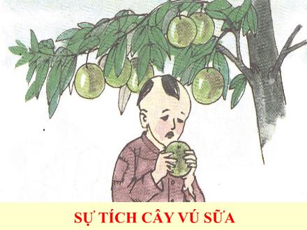 Bài giảng Tập đọc Lớp 2 - Sự tích cây vú sữa - Trường Tiểu học Nguyễn Trãi