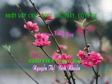Bài giảng Tập đọc Lớp 5 - Chú đi tuần - Nguyễn Thị Bích Nhuần