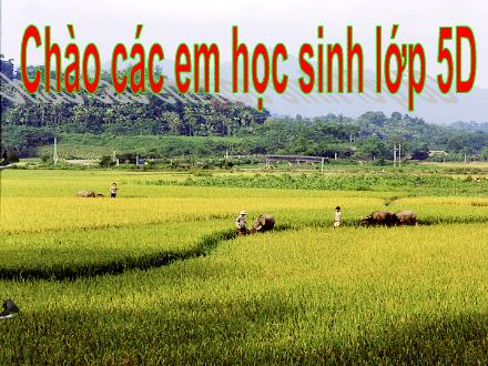 Bài giảng Toán Lớp 5 - Số thập phân bằng nhau - Trường Tiểu học Phan Đình Giót