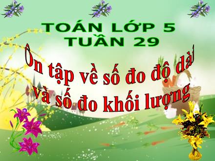 Bài giảng Toán Lớp 5 - Tuần 29: Ôn tập về số đo độ dài và số đo khối lượng - Trường Tiểu học Phan Đình Giót