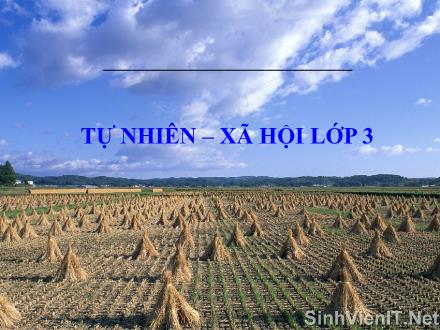 Bài giảng Tự nhiên và Xã hội Khối 3 - Làng quê và đô thị - Trường Tiểu học Nguyễn Trãi