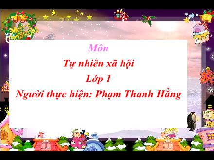 Bài giảng Tự nhiên và Xã hội Lớp 1 - Bài 13: Công việc ở nhà - Phạm Thanh Hằng