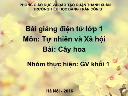 Bài giảng Tự nhiên và Xã hội Lớp 1 - Bài 23: Cây hoa - Trường Tiểu học Đặng Trần Côn B