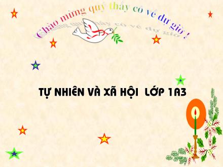 Bài giảng Tự nhiên và Xã hội Lớp 1 - Bảo vệ mắt và tai - Trường Tiểu học Nguyễn Tuân