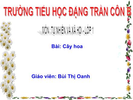 Bài giảng Tự nhiên và Xã hội Lớp 1 - Cây hoa - Bùi Thị Oanh