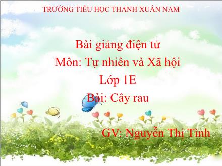 Bài giảng Tự nhiên và Xã hội Lớp 1 - Cây rau - Nguyễn Thị Tình