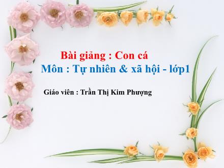 Bài giảng Tự nhiên và Xã hội Lớp 1 - Con cá - Trần Thị Kim Phượng