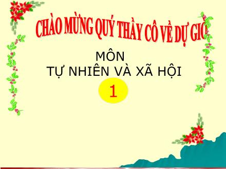 Bài giảng Tự nhiên và Xã hội Lớp 1 - Con cá - Trường Tiểu học Nguyễn Trãi