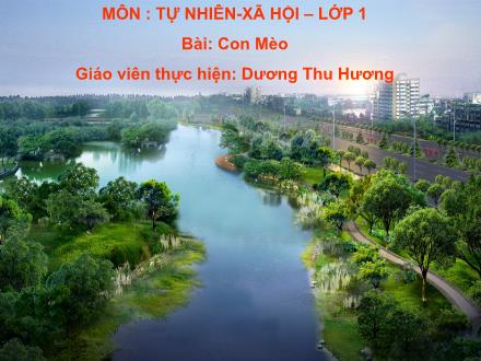 Bài giảng Tự nhiên và Xã hội Lớp 1 - Con mèo - Dương Thu Hương