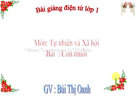 Bài giảng Tự nhiên và Xã hội Lớp 1 - Con muỗi - Bùi Thị Oanh