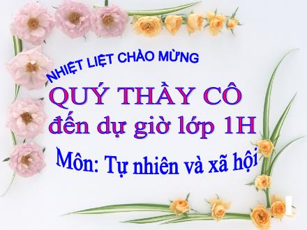 Bài giảng Tự nhiên và Xã hội Lớp 1 - Con muỗi - Trường Tiểu học Nguyễn Trãi