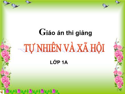 Bài giảng Tự nhiên và Xã hội Lớp 1 - Công việc ở nhà - Trường Tiểu học Nguyễn Trãi