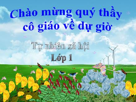 Bài giảng Tự nhiên và Xã hội Lớp 1 - Giữ gìn lớp học sạch, đẹp - Trường Tiểu học Nguyễn Trãi