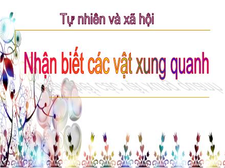 Bài giảng Tự nhiên và Xã hội Lớp 1 - Nhận biết các vật xung quanh - Trường Tiểu học Nguyễn Tuân