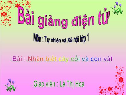 Bài giảng Tự nhiên và Xã hội Lớp 1 - Nhận biết cây cối và con vật - Lê Thị Hoa