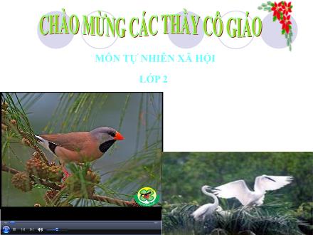 Bài giảng Tự nhiên và Xã hội Lớp 2 - Ăn uống sạch sẽ - Trường Tiểu học Nguyễn Trãi