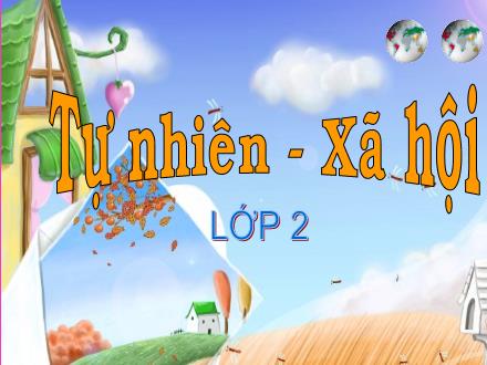 Bài giảng Tự nhiên và Xã hội Lớp 2 - Bài 12: Đồ dùng trong gia đình - Trường Tiểu học Nguyễn Trãi