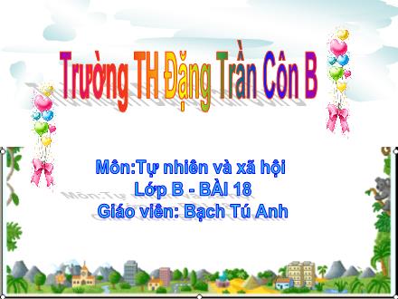 Bài giảng Tự nhiên và Xã hội Lớp 2 - Bài 18: Thực hành Giữ trường học sạch, đẹp - Bạch Tú Anh