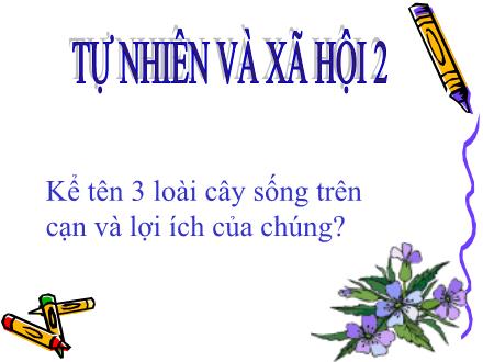 Bài giảng Tự nhiên và Xã hội Lớp 2 - Bài 26: Một số loài cây sống dưới nước - Trường Tiểu học Nguyễn Trãi