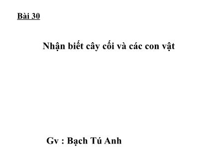 Bài giảng Tự nhiên và Xã hội Lớp 2 - Bài 30: Nhận biết cây cối và các con vật - Bạch Tú Anh