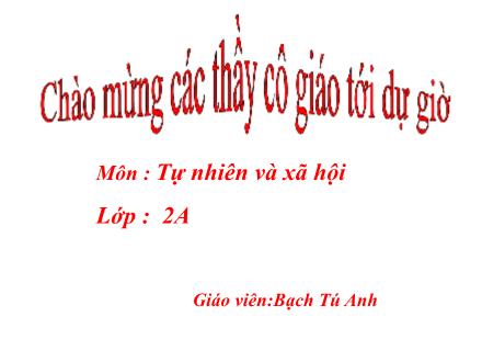 Bài giảng Tự nhiên và Xã hội Lớp 2 - Bài 8: Ăn uống sạch sẽ - Bạch Tú Anh