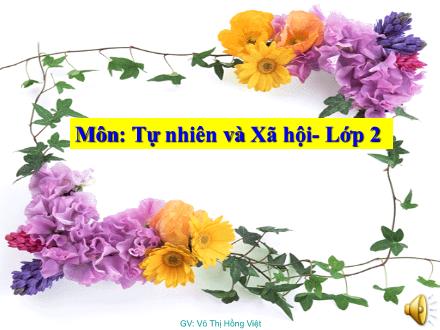 Bài giảng Tự nhiên và Xã hội Lớp 2 - Đồ dùng trong gia đình - Trường Tiểu học Nguyễn Trãi