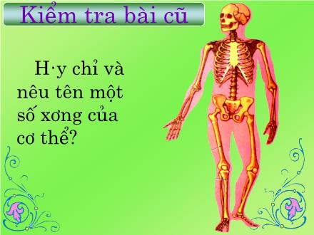 Bài giảng Tự nhiên và Xã hội Lớp 2 - Hệ cơ - Trường Tiểu học Nguyễn Trãi