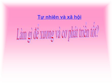 Bài giảng Tự nhiên và Xã hội Lớp 2 - Làm gì để xương và cơ phát triển tốt? - Trường Tiểu học Đặng Trần Côn B