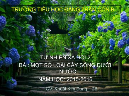 Bài giảng Tự nhiên và Xã hội Lớp 2 - Một số loài cây sống dưới nước - Khuất Kim Dung