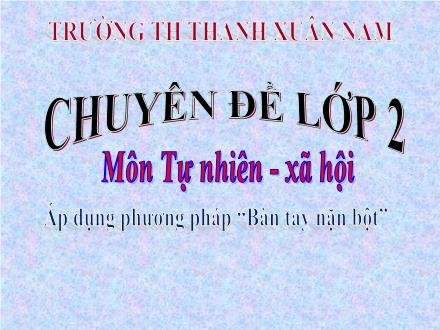 Bài giảng Tự nhiên và Xã hội Lớp 2 - Tuần 31: Mặt trời - Trường Tiểu học Thanh Xuân Nam