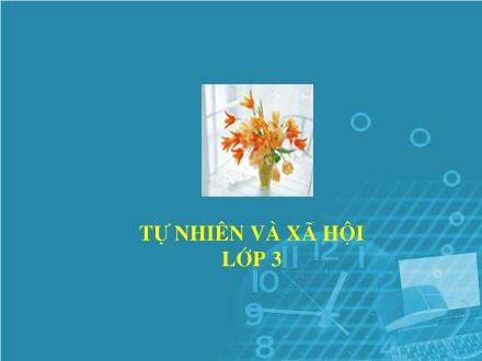 Bài giảng Tự nhiên và Xã hội Lớp 3 - Bài 39: Ôn tập Xã hội - Trường Tiểu học Nguyễn Trãi