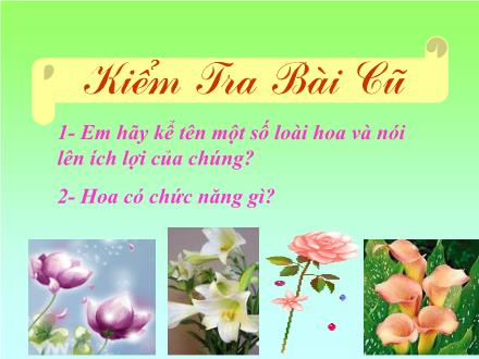 Bài giảng Tự nhiên và Xã hội Lớp 3 - Bài 48: Quả - Trường Tiểu học Nguyễn Trãi