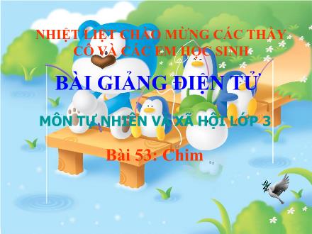 Bài giảng Tự nhiên và Xã hội Lớp 3 - Bài 53: Chim - Trường Tiểu học Nguyễn Trãi