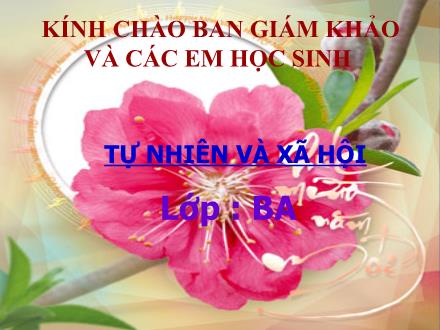 Bài giảng Tự nhiên và Xã hội Lớp 3 - Bài 54: Thú (Tiết 1) - Trường Tiểu học Nguyễn Trãi