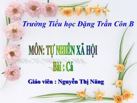 Bài giảng Tự nhiên và Xã hội Lớp 3 - Cá - Nguyễn Thị Năng