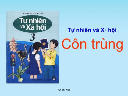 Bài giảng Tự nhiên và Xã hội Lớp 3 - Côn trùng - Trường Tiểu học Nguyễn Trãi