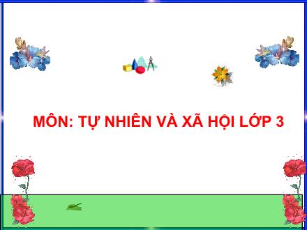 Bài giảng Tự nhiên và Xã hội Lớp 3 - Hoạt động bài tiết nước tiểu - Trường Tiểu học Nguyễn Tuân